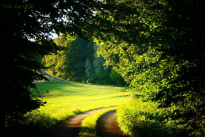 Wandern zur Tauritzmühle