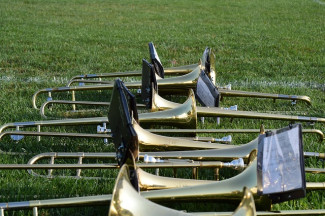 Posaunen im Gras